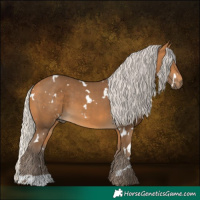 Horse Color:White Spotted Silver Buckskin 