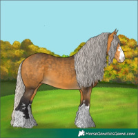 Horse Color:Silver Buckskin 