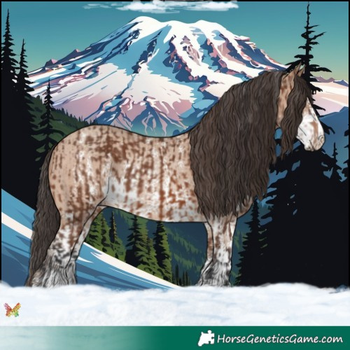 Horse Color:Brown Sabino Rabicano and Sable Champagne Sabino Rabicano