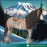 Horse Color:Brown Sabino Rabicano  and Sable Champagne Sabino Rabicano 