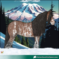 Horse Color:Brown Sabino Rabicano and Brown Sabino Rabicano