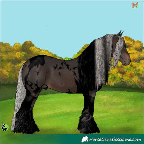 Horse Color:Void White Spotted Silver Brown Tobiano 