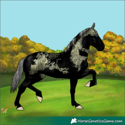Horse Color:Void Watercolor Silver Bay Ice Pearl Splash Tobiano 