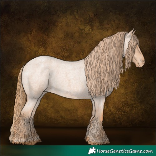 Horse Color:Red Roan Varnish