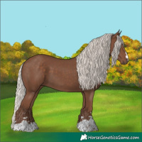 Horse Color:Silver Black 