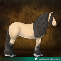 Horse Color:Buckskin 