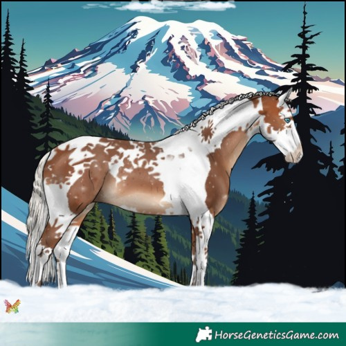 Horse Color:Silver Brown Splash Tobiano