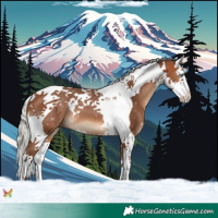 Horse Color:Silver Brown Splash Tobiano 