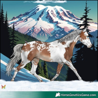 Horse Color:Silver Brown Splash Tobiano 