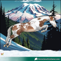 Horse Color:Silver Brown Splash Tobiano 