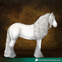 Horse Color:White Spotted Palomino Dun 