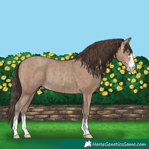 Horse Color:Amber Champagne  and Classic Champagne Rabicano 