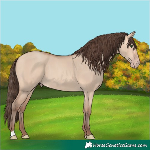 Horse Color:Amber Champagne Dun 