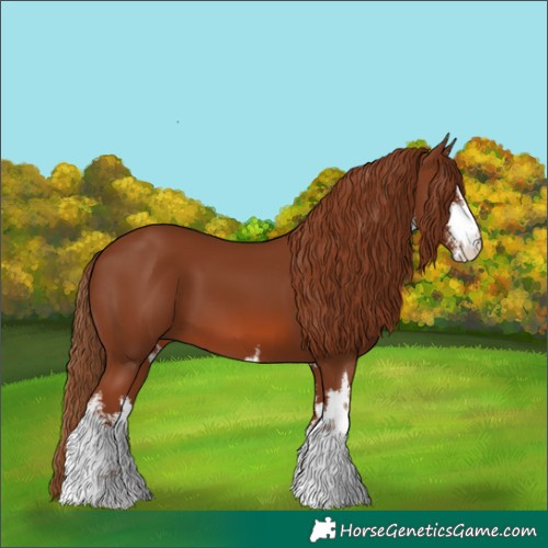 Horse Color:White Spotted Chestnut 