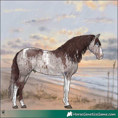 Horse Color:Platinum Chocolate Brown Dun Splash Tobiano Frame Brindle 