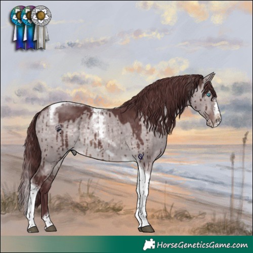 Horse Color:Platinum Chocolate Brown Dun Splash Tobiano Frame Brindle
