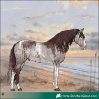 Horse Color:Platinum Chocolate Brown Dun Splash Tobiano Frame Brindle 
