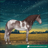Horse Color:Platinum Chocolate Brown Dun Tobiano Frame 