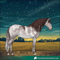 Horse Color:Platinum Chocolate Brown Dun Tobiano Frame 