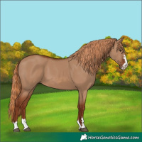 Horse Color:Red Dun