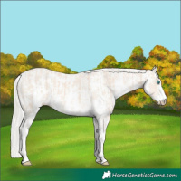 Horse Color:Cremello Sabino  and Cremello Sabino 