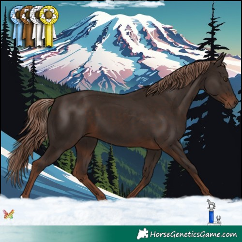Horse Color:Liver Chestnut 