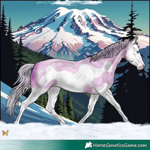 Horse Color:Watercolor Silver Classic Champagne Roan Splash Frame 