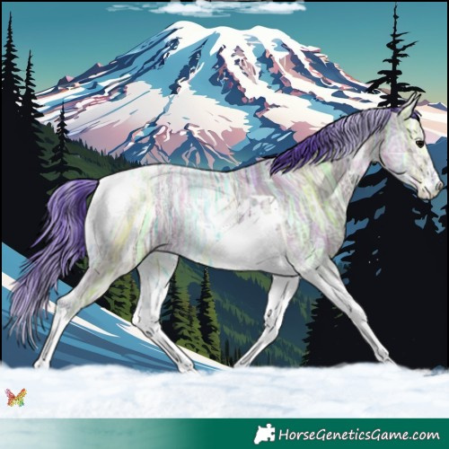 Horse Color:Watercolor Grullo Ice Tobiano 