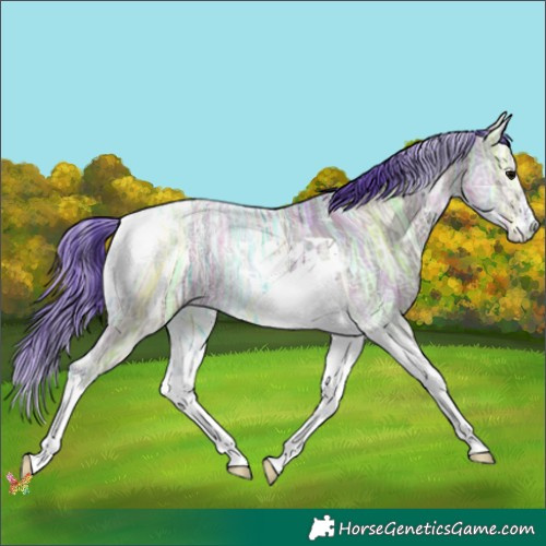 Horse Color:Watercolor Grullo Ice Tobiano 