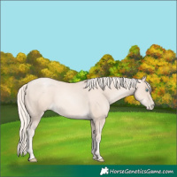 Horse Color:Gold Cream Champagne Pearl 