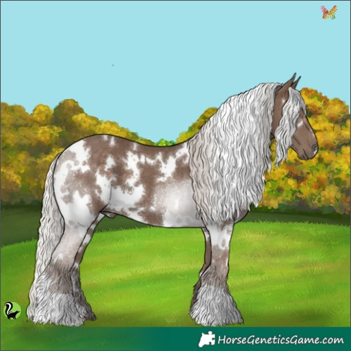 Horse Color:White Spotted Silver Black 
