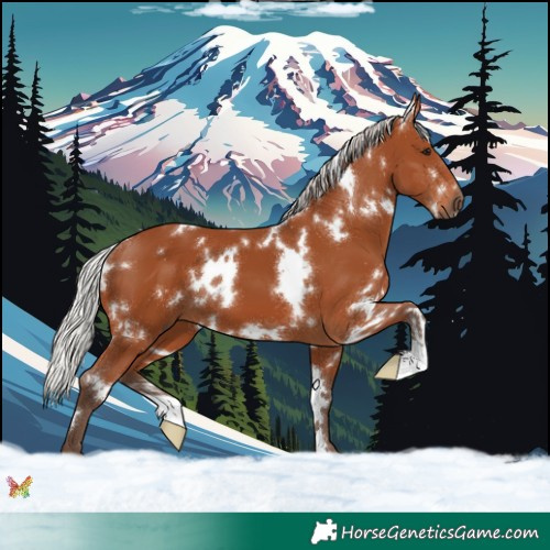 Horse Color:White Spotted Silver Brown 