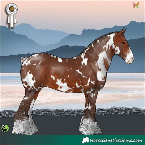 Horse Color:White Spotted Silver Brown Sabino 