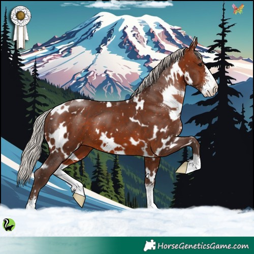 Horse Color:White Spotted Silver Brown Sabino 