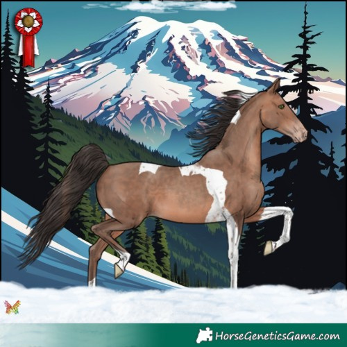 Horse Color:Sable Champagne Tobiano 