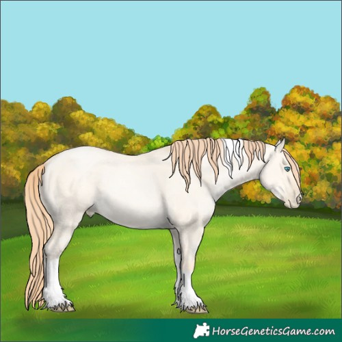 Horse Color:Amber Cream Champagne Pearl Dun Tobiano 