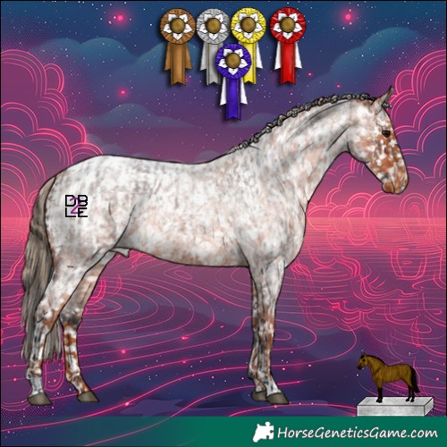 Horse Color:White Spotted Brown Roan Appaloosa  and White Spotted Red Roan Appaloosa 