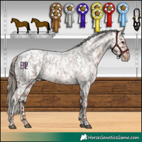 Horse Color:White Spotted Brown Roan Appaloosa  and White Spotted Red Roan Appaloosa 