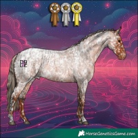 Horse Color:White Spotted Brown Roan Appaloosa and White Spotted Red Roan Appaloosa