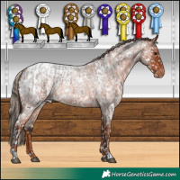 Horse Color:White Spotted Brown Roan Snowflake Varnish and White Spotted Red Roan Snowcap 
