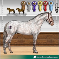 Horse Color:White Spotted Brown Roan Appaloosa  and White Spotted Red Roan Appaloosa 