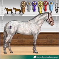Horse Color:White Spotted Brown Roan Appaloosa  and White Spotted Red Roan Appaloosa 
