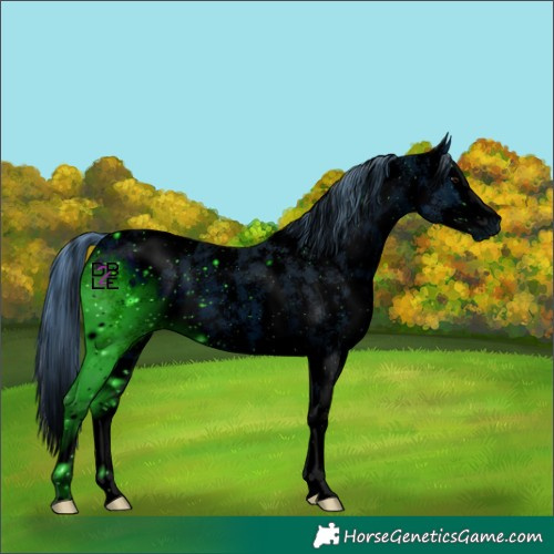 Horse Color:ERROR: UNKNOWN ANOMALY