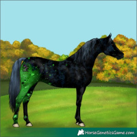Horse Color:ERROR: UNKNOWN ANOMALY