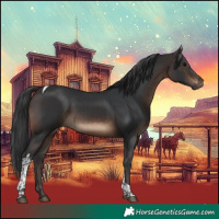 Horse Color:Brown Tobiano 