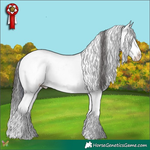 Horse Color:Bay Ice Sabino 