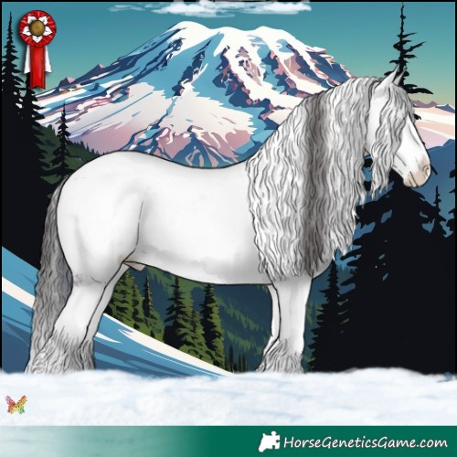 Horse Color:Bay Ice Sabino 