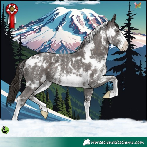 Horse Color:White Spotted Liver Chestnut Sabino 