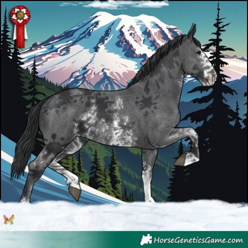 Horse Color:Black Sabino 