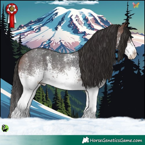 Horse Color:White Spotted Brown Sabino 